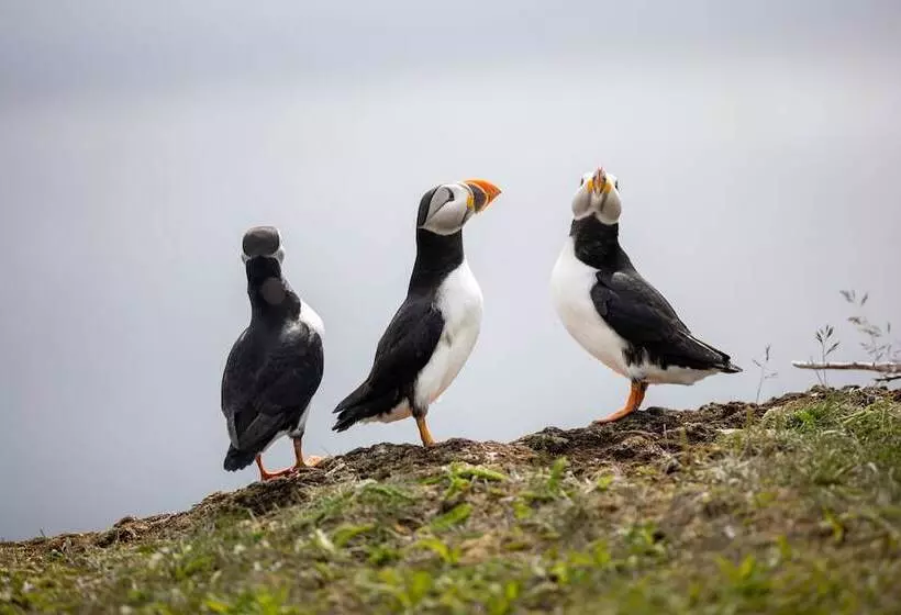 Majatalo Cliffs Edge Retreat