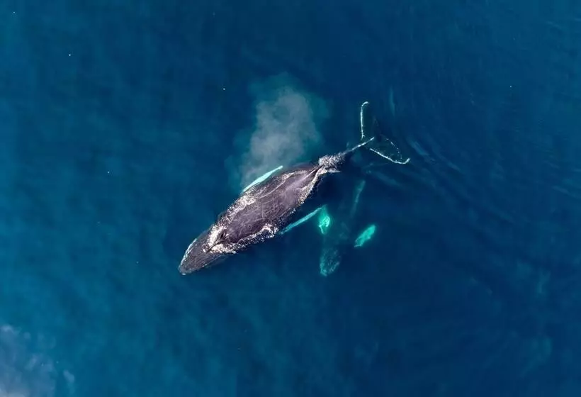 Majatalo Cliffs Edge Retreat