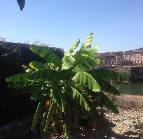 צימר Comfort And Fab Views