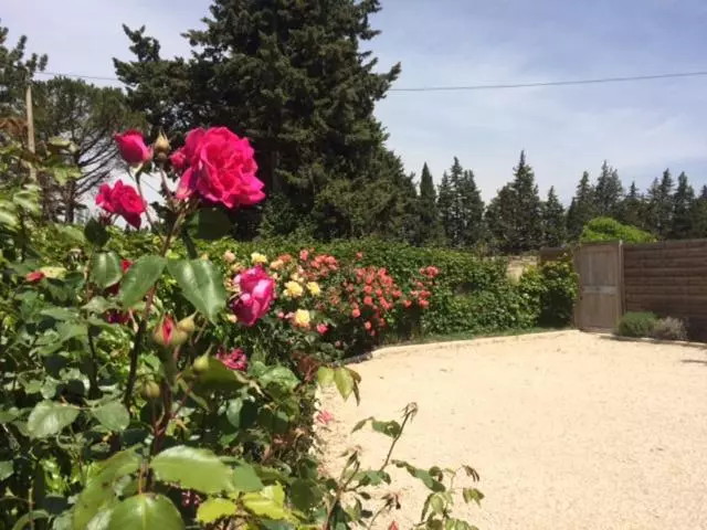 Aamiaismajoitus (B&B) L Eté Indien