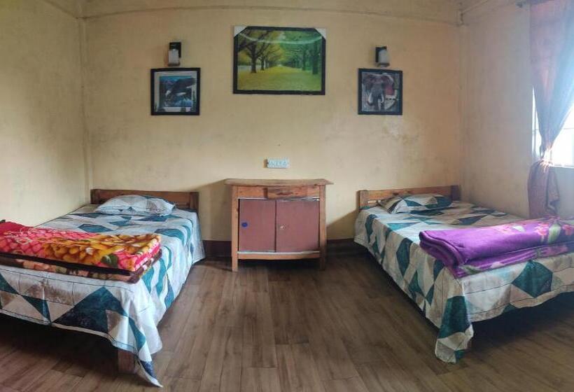 Pensjonat D Cloud Guesthouse