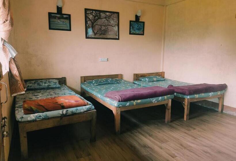 Pensjonat D Cloud Guesthouse