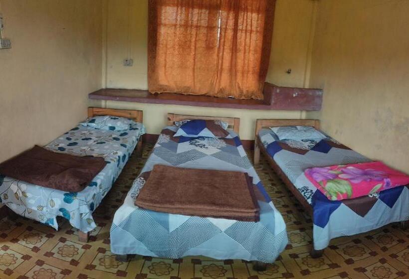 Pensjonat D Cloud Guesthouse