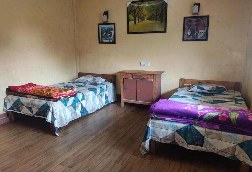 Pensjonat D Cloud Guesthouse