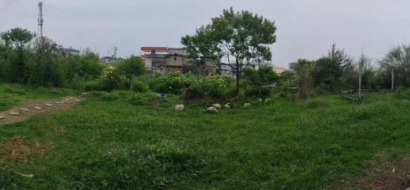 ペンション D Cloud Guesthouse