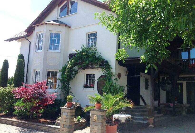 Pension Zur Weinlaube