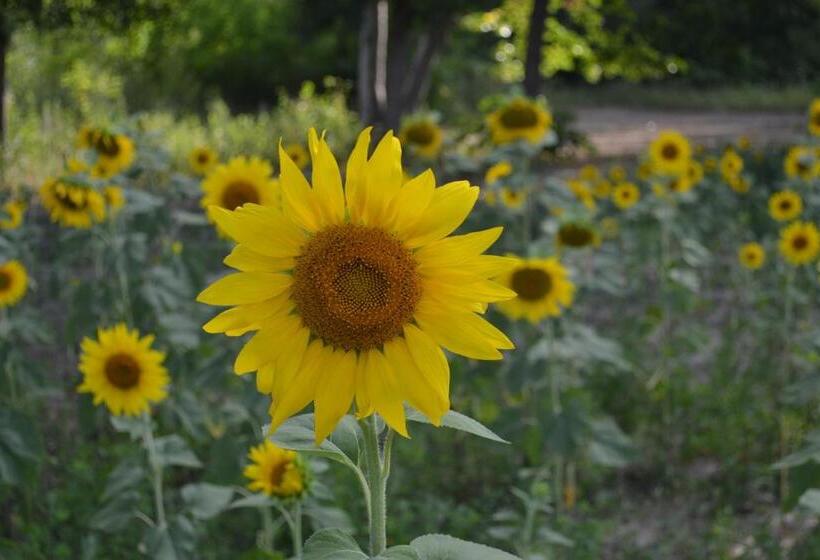 Bed And Breakfast Le Moulin De Champdurand