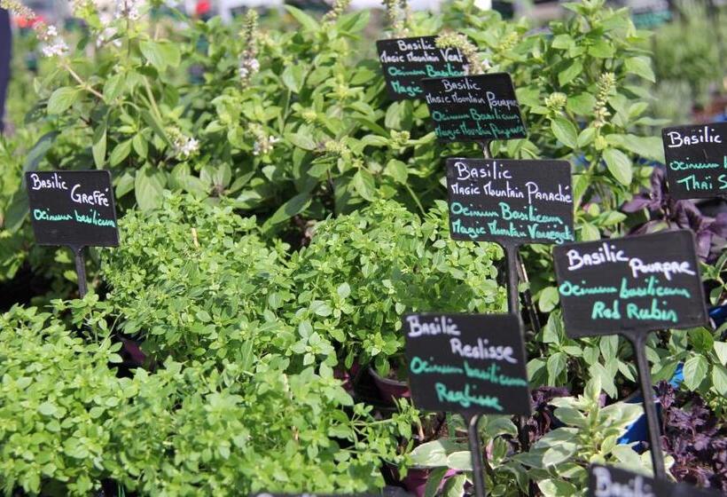 Bed And Breakfast Le Moulin De Champdurand