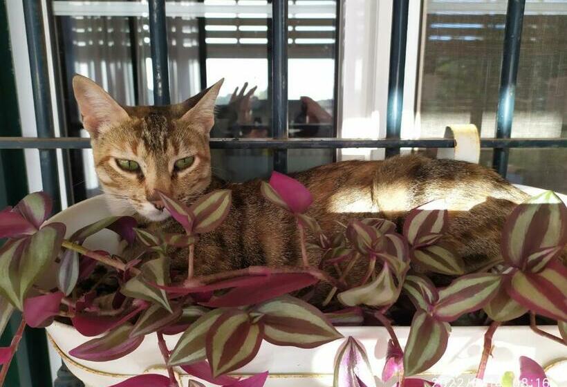 پانسیون Casa Natura