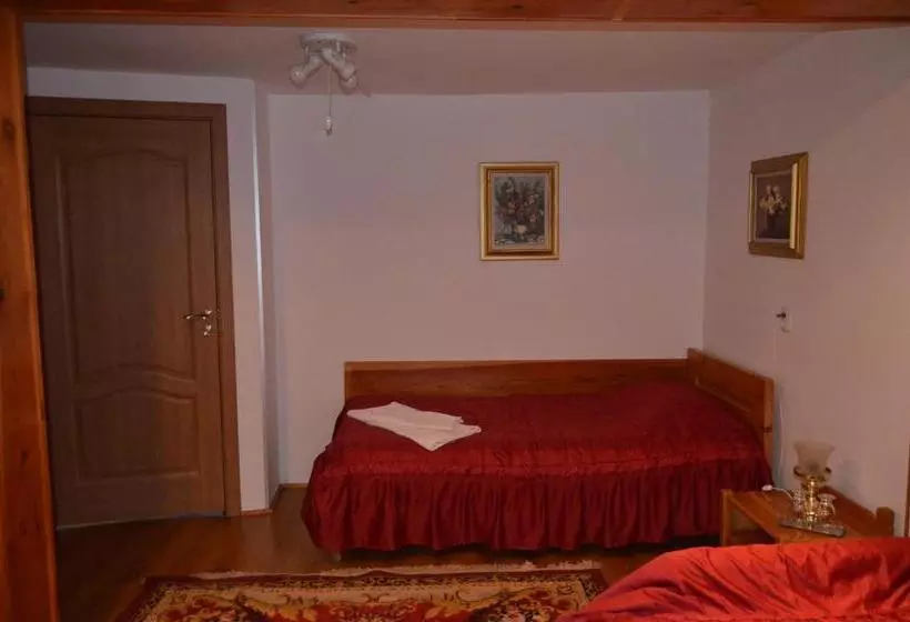 Pensiunea Casa Alex