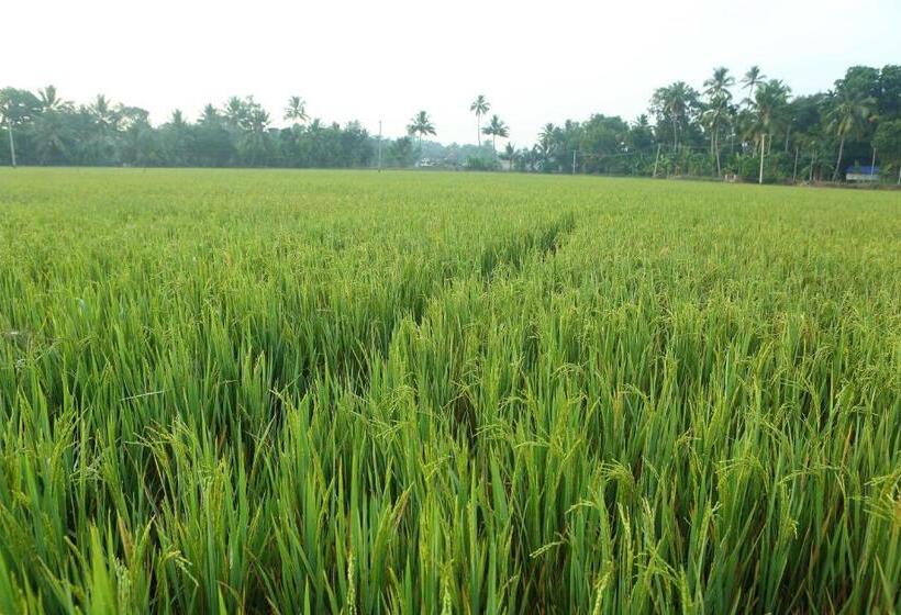 Bed and Breakfast Kurialacherry House Alleppey