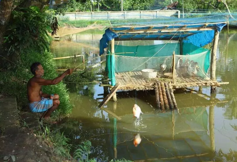 Aamiaismajoitus (B&B) Kurialacherry House Alleppey