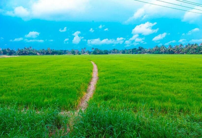 Bed and Breakfast Kurialacherry House Alleppey