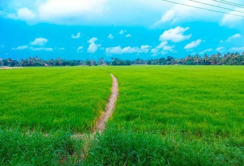 Aamiaismajoitus (B&B) Kurialacherry House Alleppey