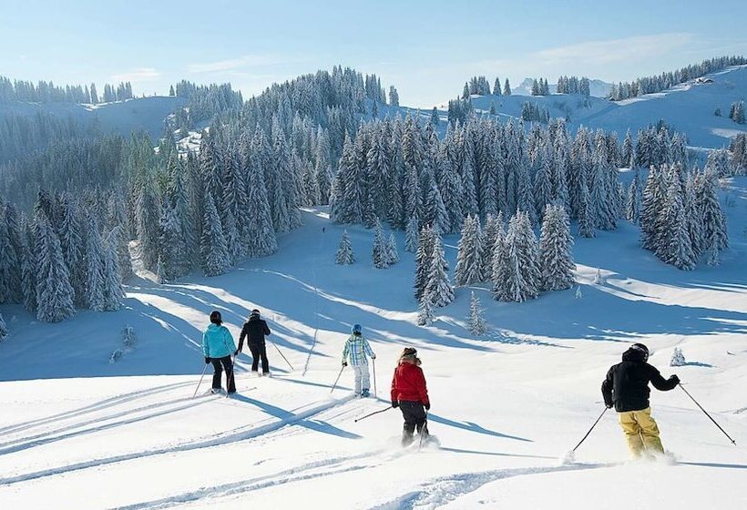 Chalet Hotel Régina