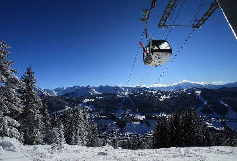 Chalet Hotel Régina