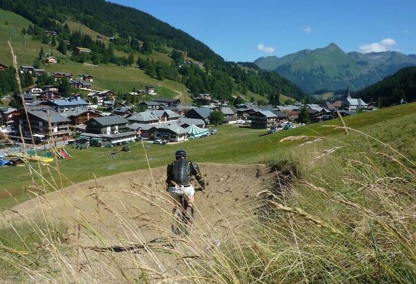 Chalet Hotel Régina