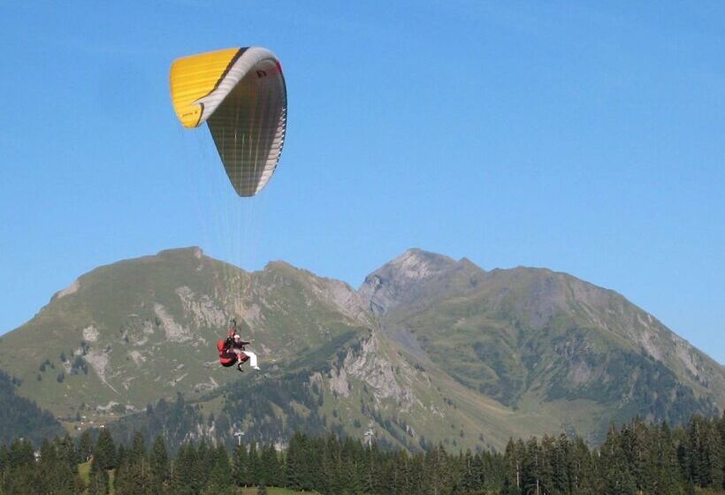 Chalet Hotel Régina