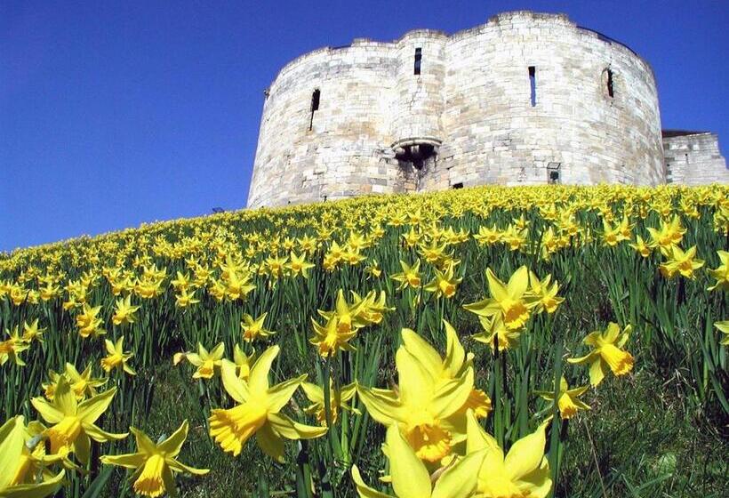 هتل Avondale Guest House