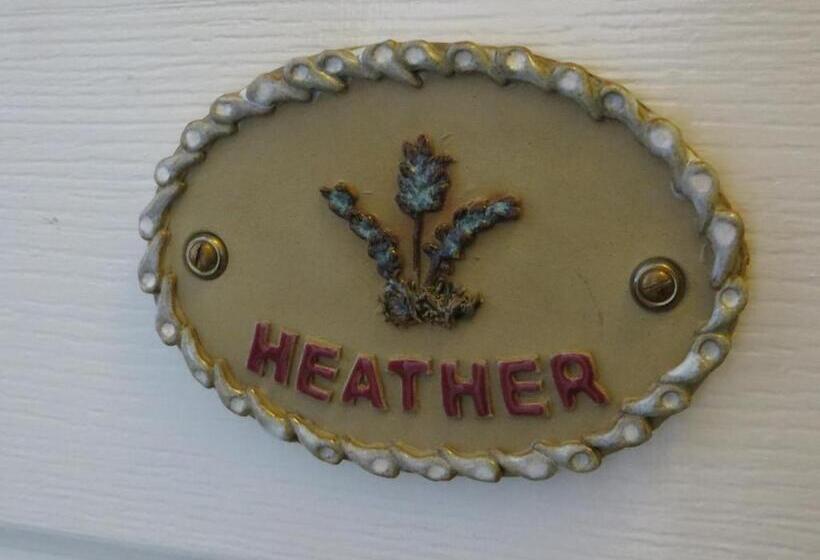 هتل Avondale Guest House