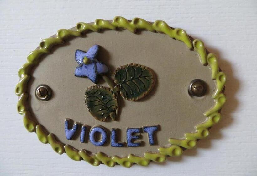 هتل Avondale Guest House