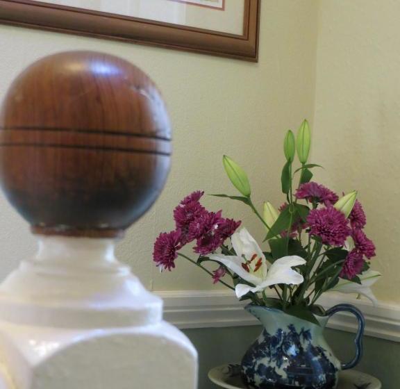 هتل Avondale Guest House