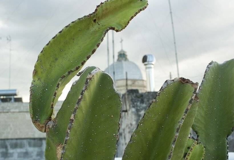 فندق B & B Sotto La Volta