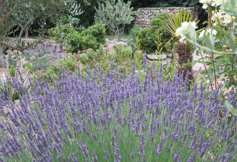 فندق Le Mas Vieux