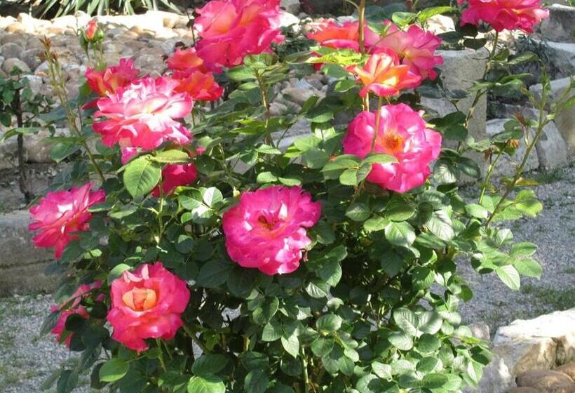 فندق Le Mas Vieux