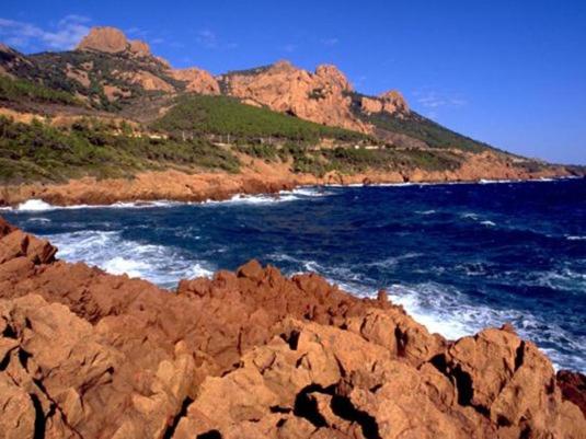 酒店 Les Chambres D Hotes Au Bois Fleuri