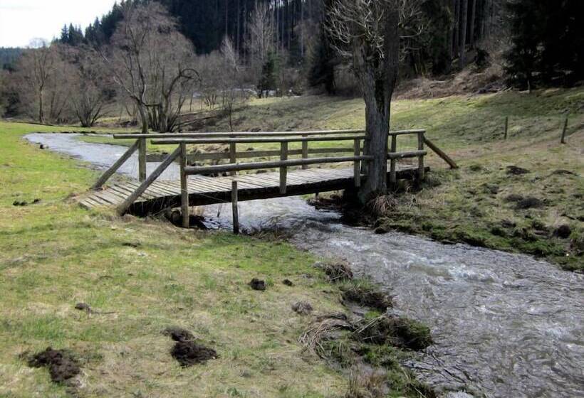 ホテル Pension Zur Lärche