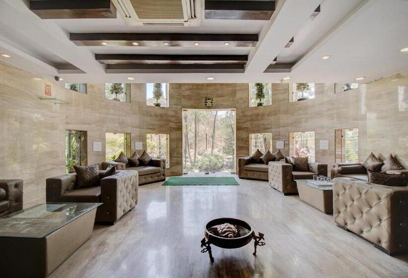 Отель Royale Palace