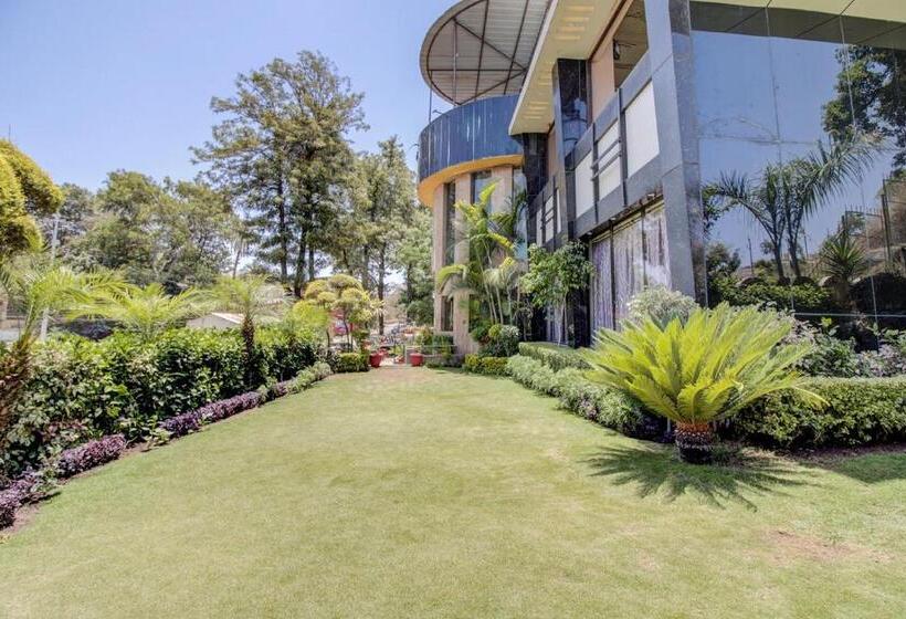 Отель Royale Palace