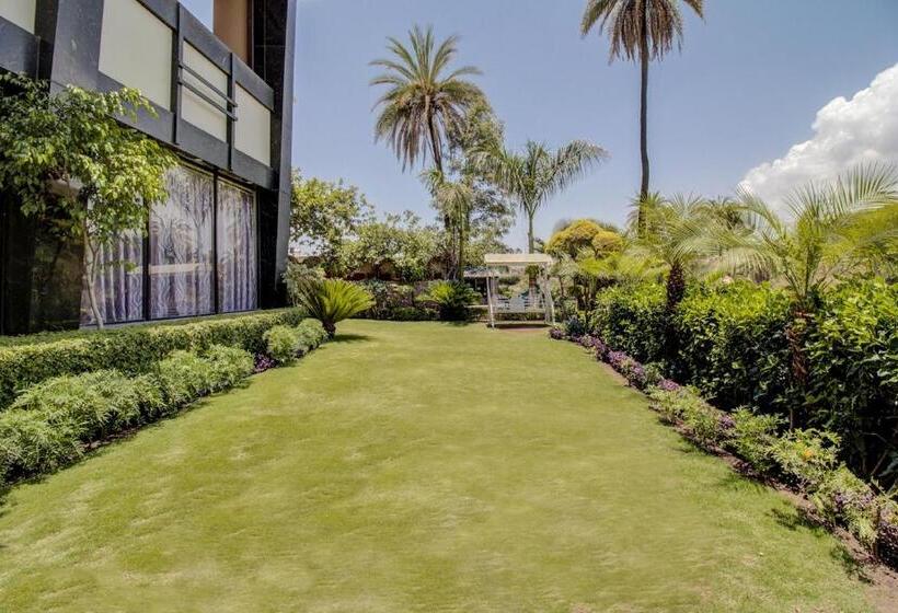 Отель Royale Palace