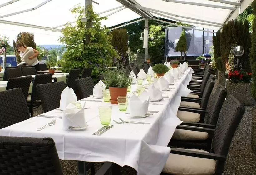 Hotel Storchen