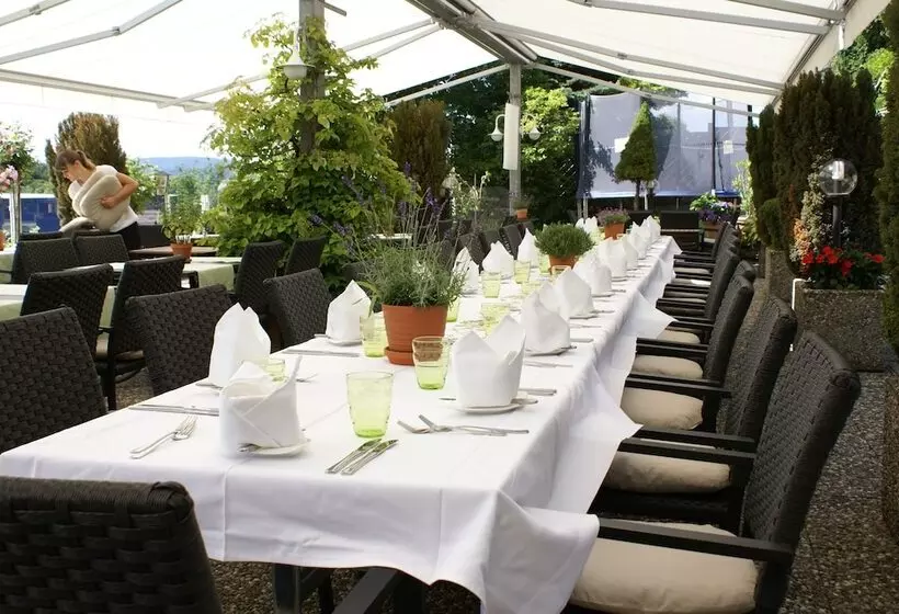 Hotel Storchen