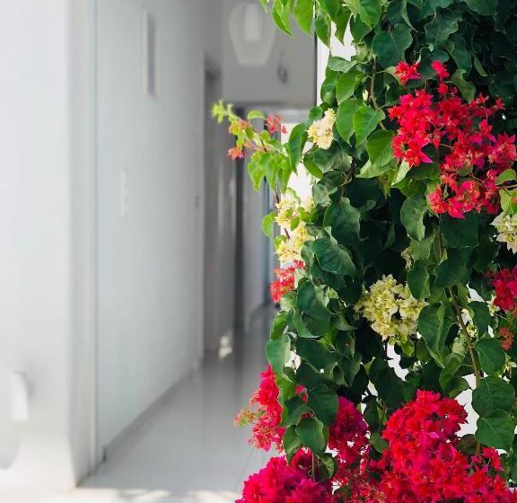 בית מלון כפרי Taki S Guests