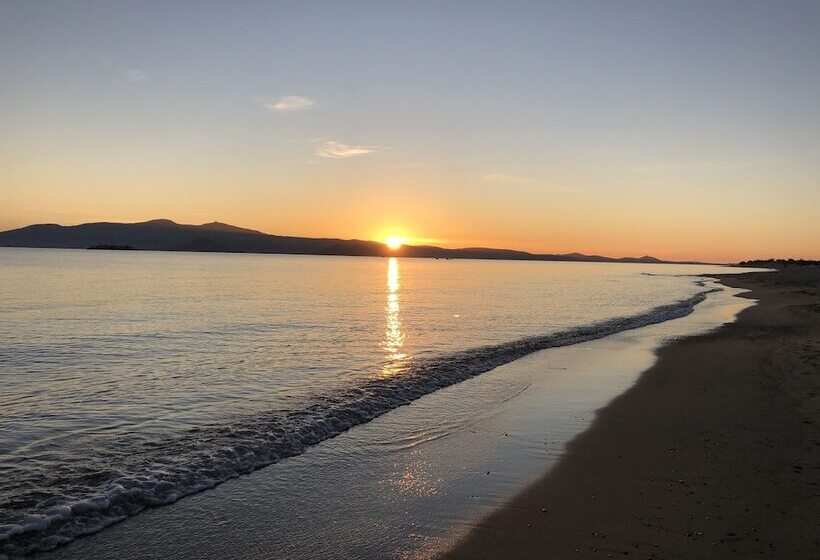 בית מלון כפרי Taki S Guests