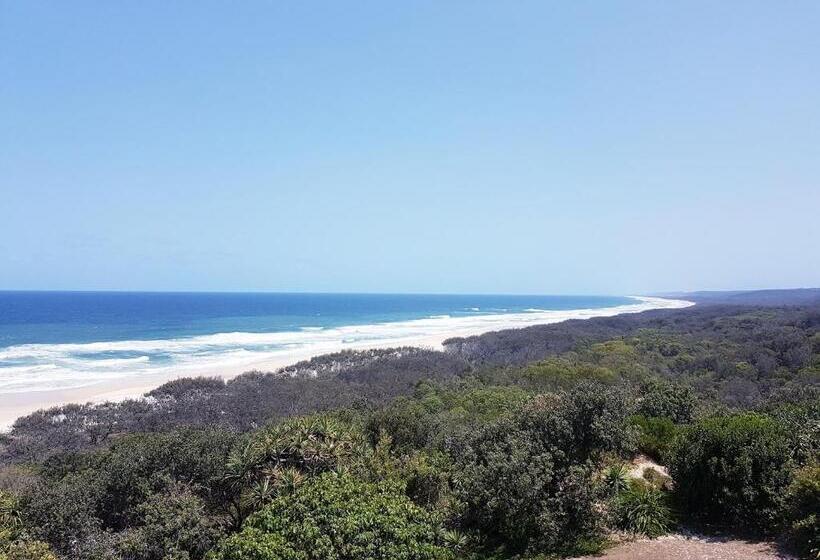 Whale Watch Ocean Beach Resort