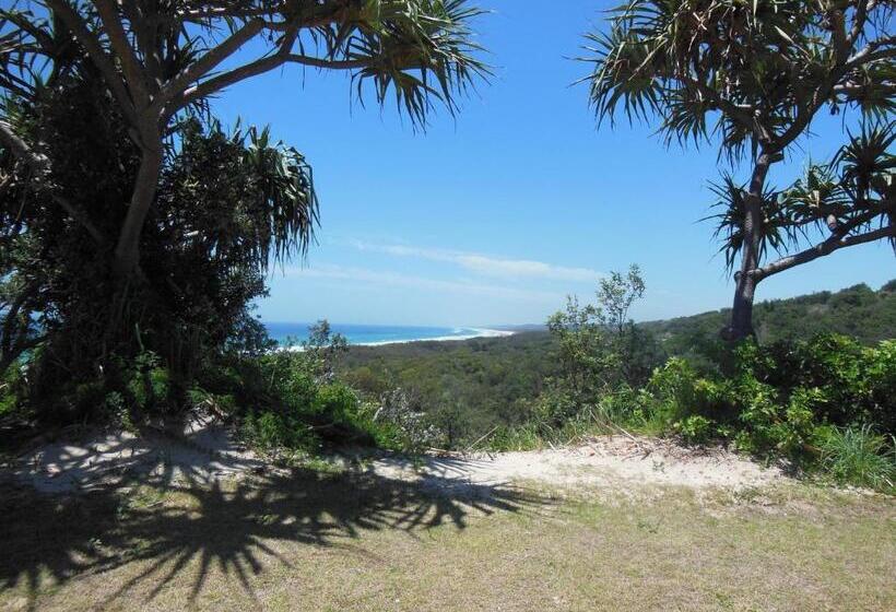 Whale Watch Ocean Beach Resort