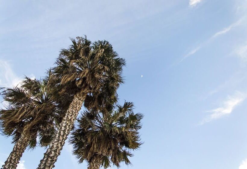 فندق B&b La Terrazza Sul Mare