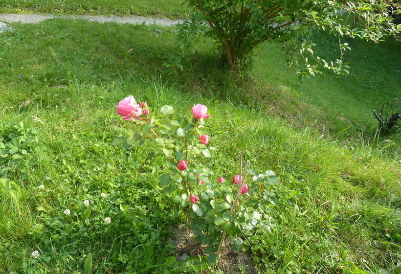 酒店 Berghaus Püttmann