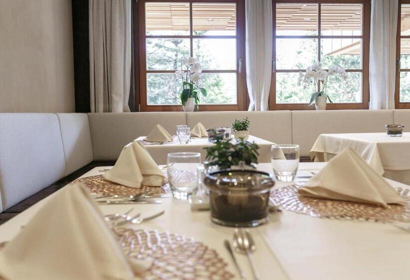 Отель Gran Paradiso