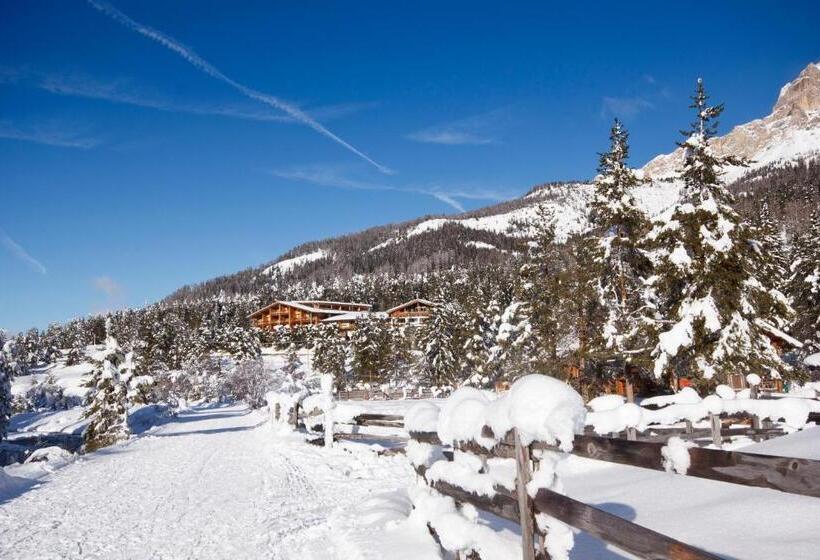 Отель Gran Paradiso