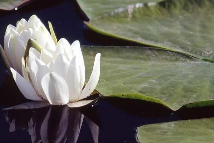 בית מלון כפרי Relais Forti