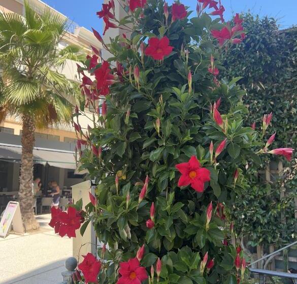 בית מלון כפרי Sorriso