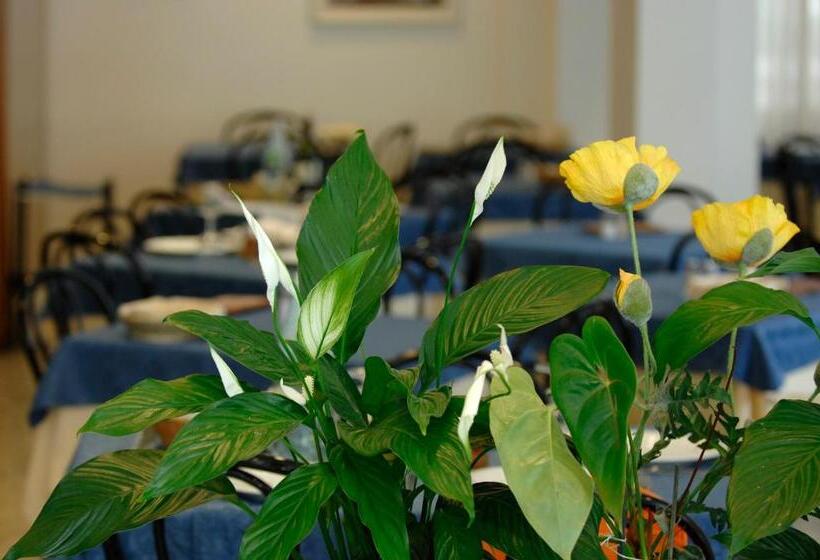 בית מלון כפרי Sorriso