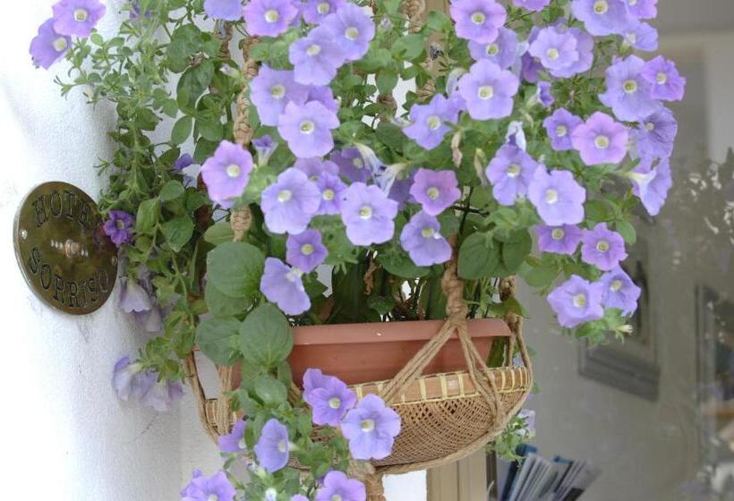 בית מלון כפרי Sorriso