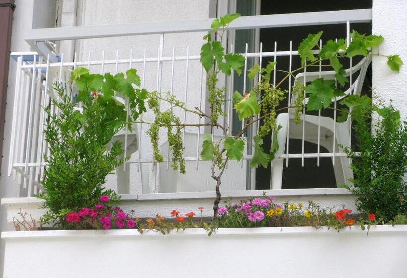 בית מלון כפרי Sorriso