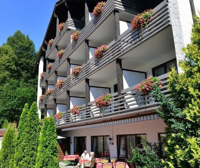 בית מלון כפרי Tyrol